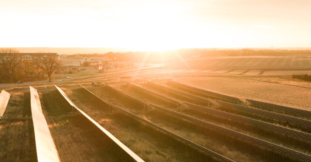 In Which I Try Valiantly to Cheer You Up