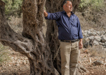 How Israel’s Settlement Surge in the West Bank Is Displacing Palestinians