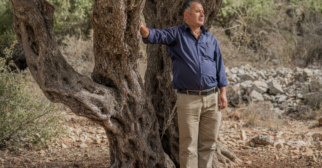 How Israel’s Settlement Surge in the West Bank Is Displacing Palestinians