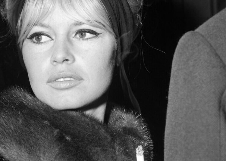 Au Revoir, Brigitte Bardot