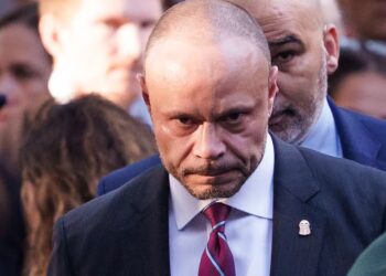 Bongino Melts Down at Murdoch Journalist Who Revealed FBI Agents Call Him a ‘Clown’