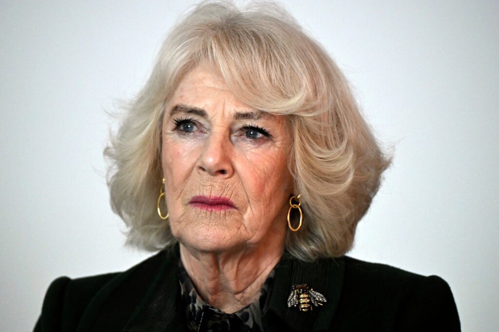 Queen Camilla says she was assaulted on a train as a teenager