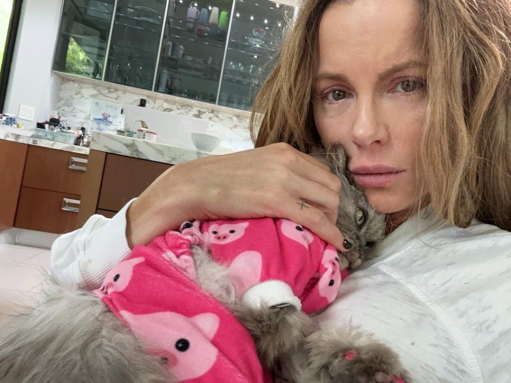 Kate Beckinsale cuddling a cat in a pink pig onesie.
