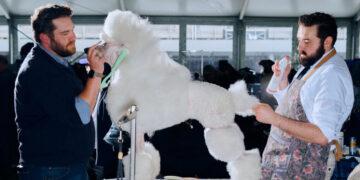 Pet Owners, How Do You Deal With the High Costs of Grooming?