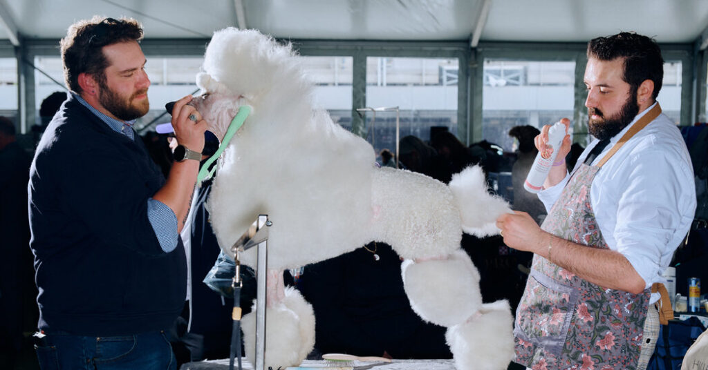 Pet Owners, How Do You Deal With the High Costs of Grooming?