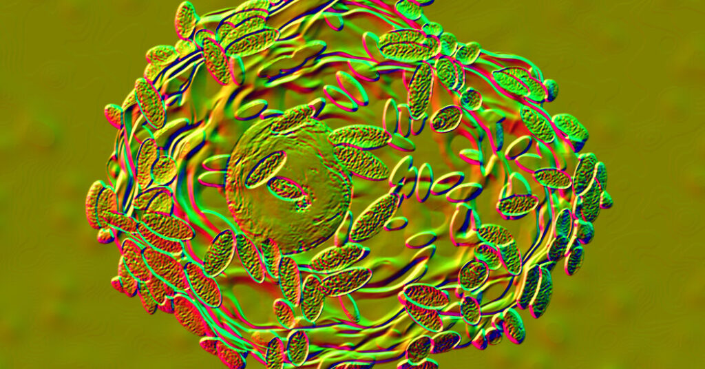 So You Have Bacterial Vaginosis. What Do You Do Now?