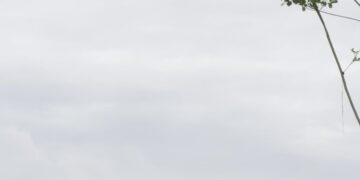 Slow Pace of Flood Recovery Stirs Anger in Far-Flung Corner of Indonesia