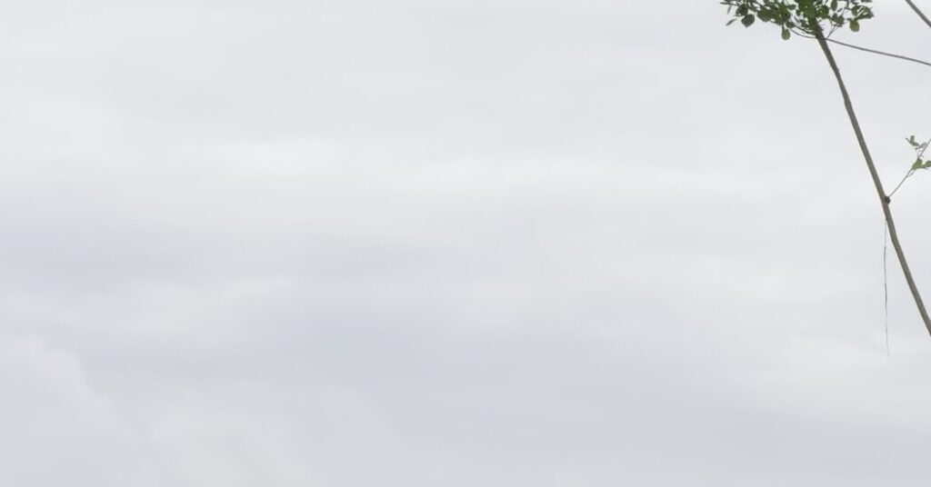 Slow Pace of Flood Recovery Stirs Anger in Far-Flung Corner of Indonesia