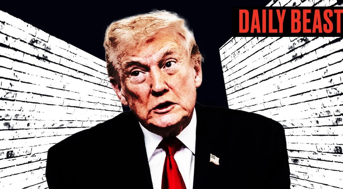 The Real Reason Trump’s Lost His Mojo: Don Lemon