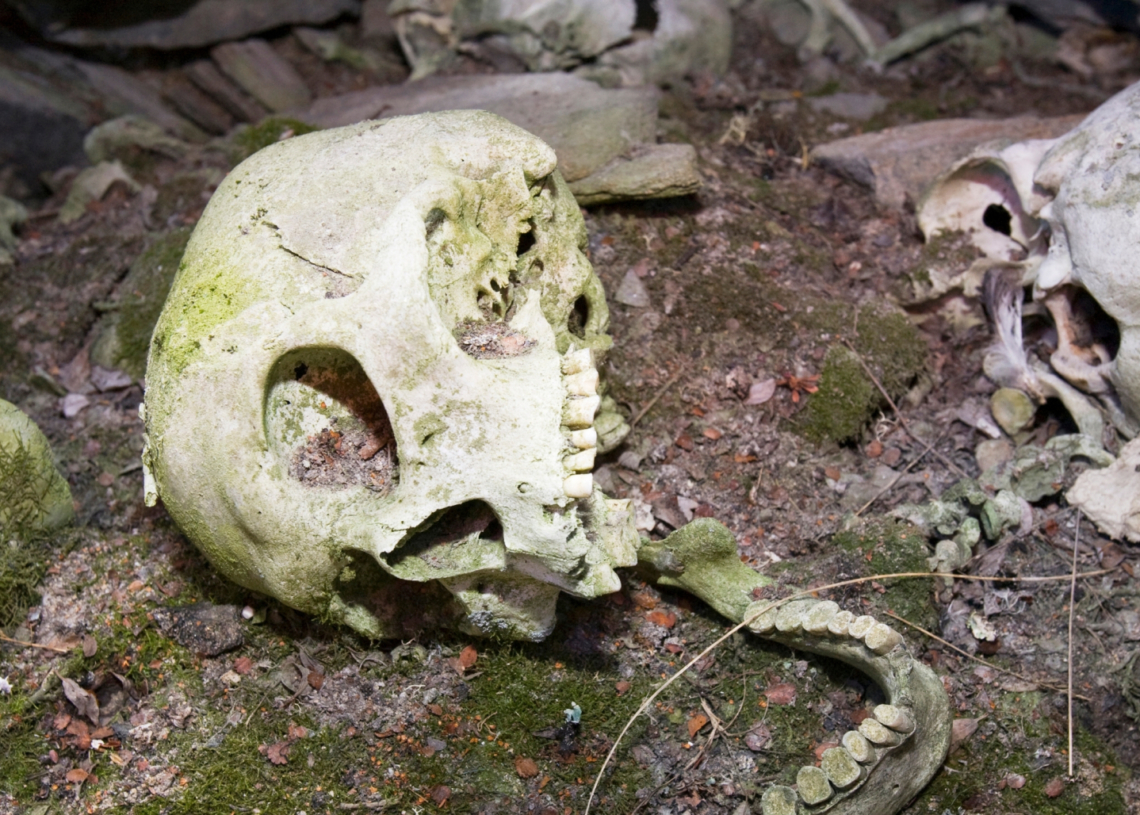 3,700-Year-Old Bones Reveal the Oldest Known Case of Father-Daughter Incest