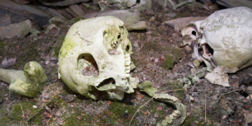 3,700-Year-Old Bones Reveal the Oldest Known Case of Father-Daughter Incest