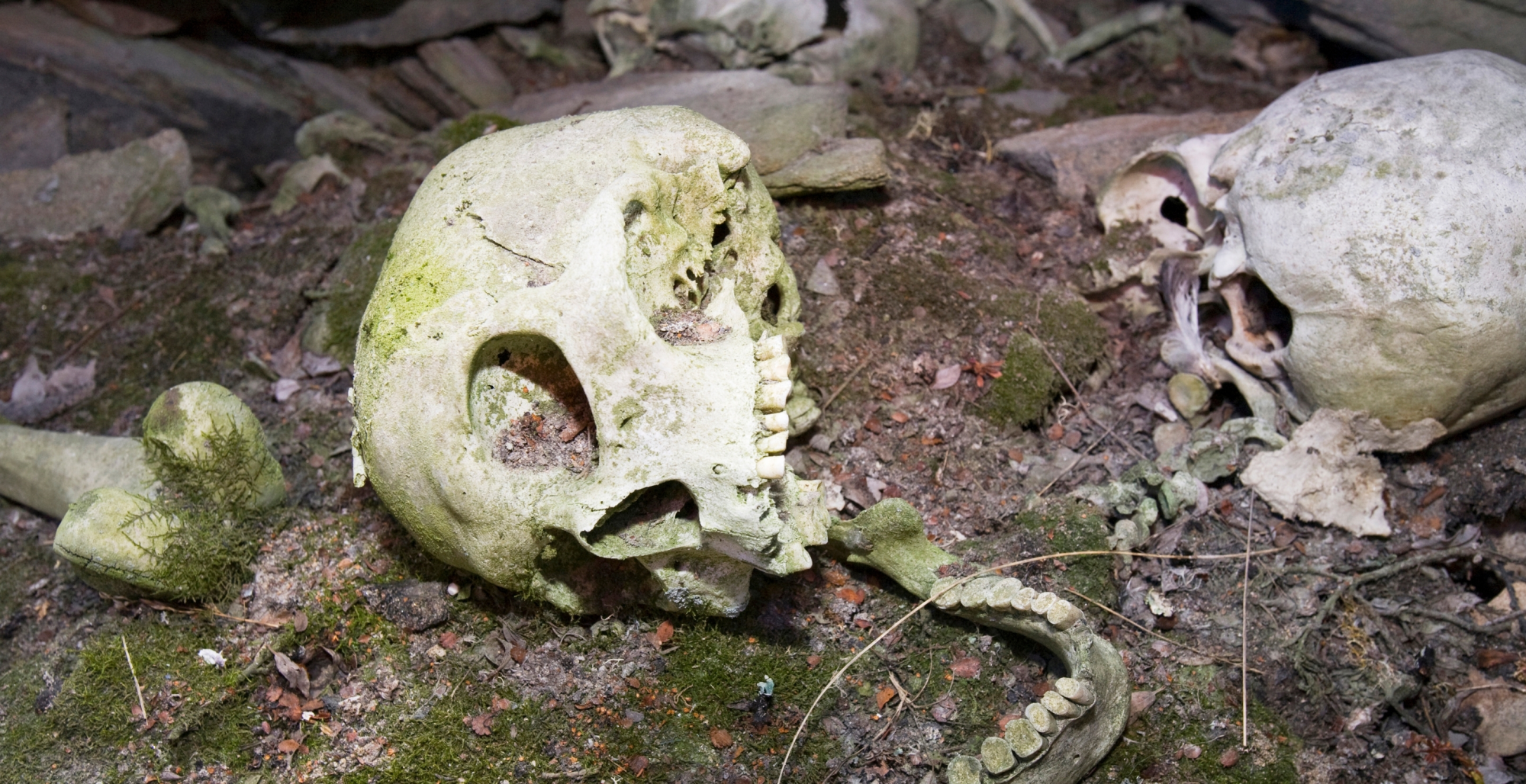 3,700-Year-Old Bones Reveal the Oldest Known Case of Father-Daughter Incest