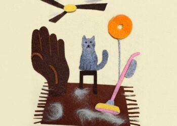 11 easy ways to reduce dust in your home