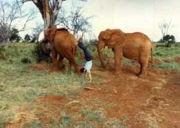 Meet ‘NASA Mike,’ who’s done 105,000 handstands around the world