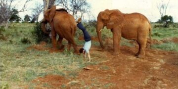 Meet ‘NASA Mike,’ who’s done 105,000 handstands around the world