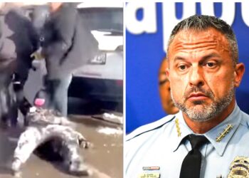 Police Chief Eviscerates ICE Goons for Dragging Woman Down Street