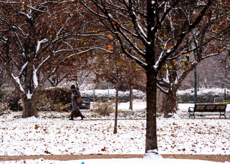D.C.’s coldest day this season showed winter’s coming