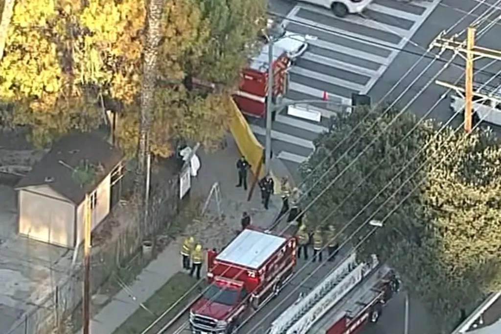 Aerial view of emergency services responding to a tree-trimming accident.