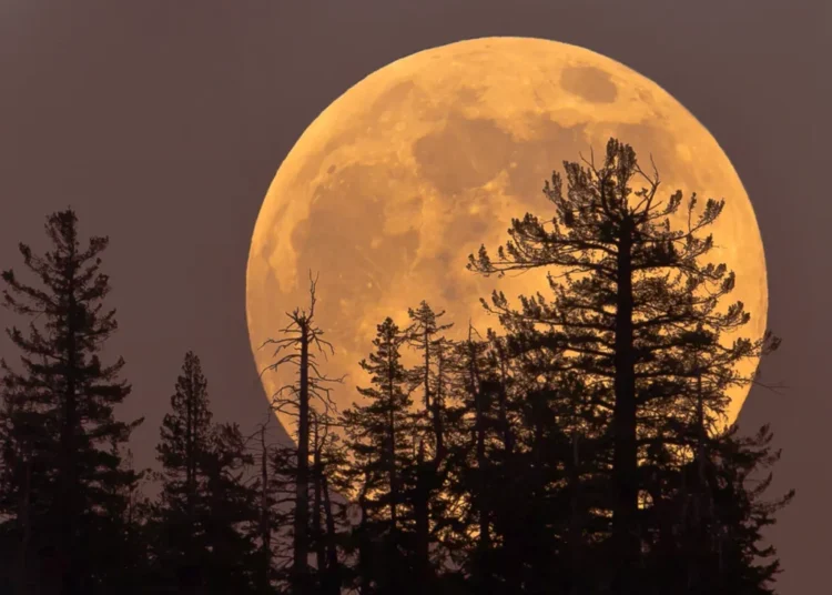 Thursday’s Cold Moon Is the Last Supermoon of the Year. Here’s How and When to View It