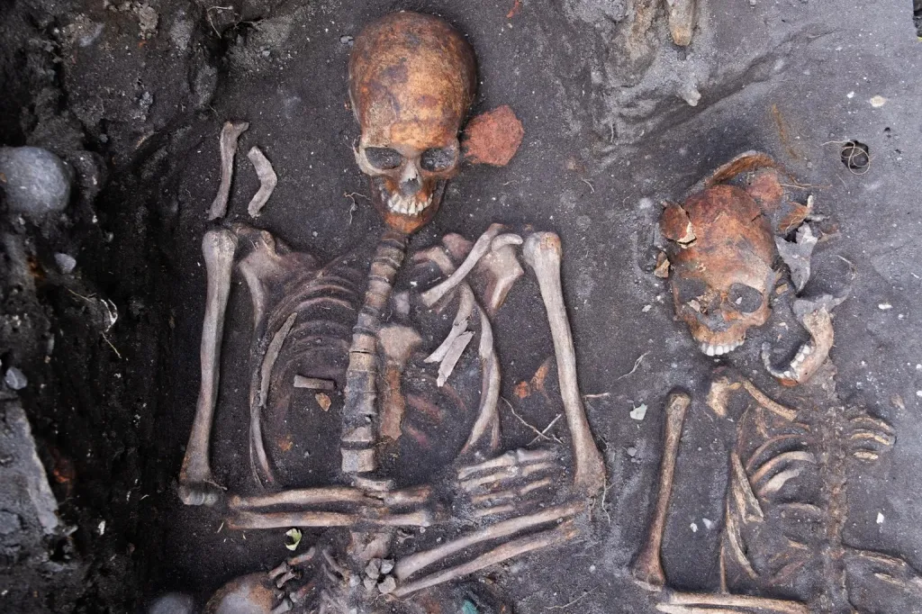 Archaeological excavation of two skeletons in soil.