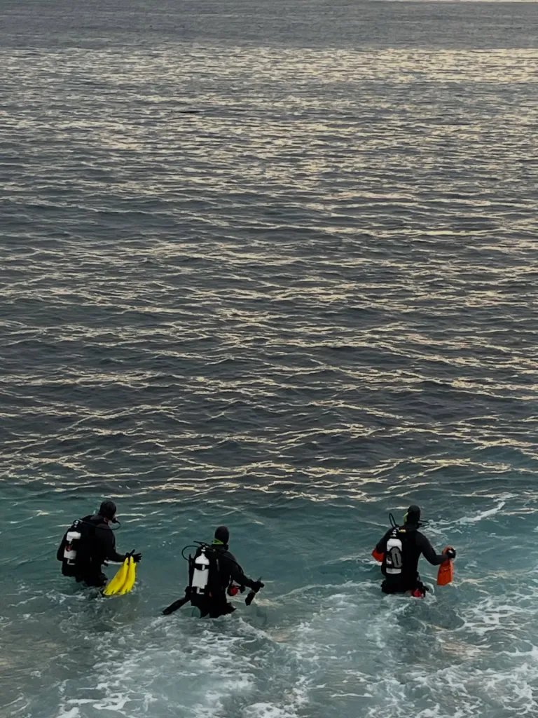 riathlete who vanished from the waters off a California coast following a shark attack