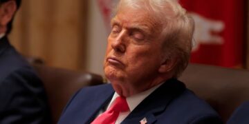 See Every Angle of Donald Trump, 79, Nodding Off in His Own Cabinet Meeting