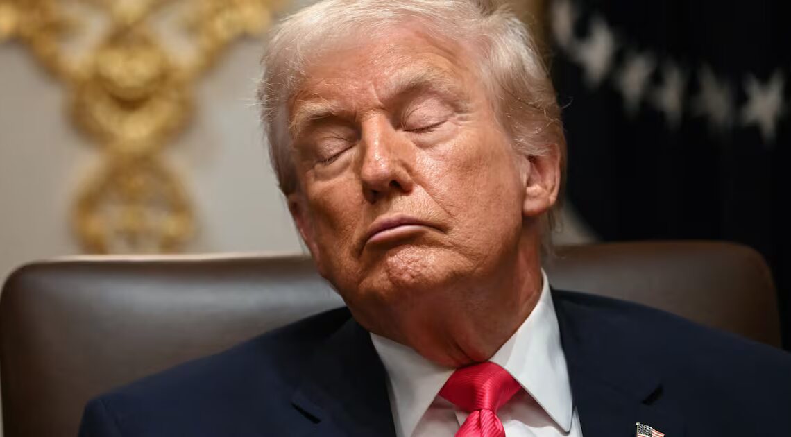 Trump Goon Caught Doodling His Way Through Boss’ Naptime