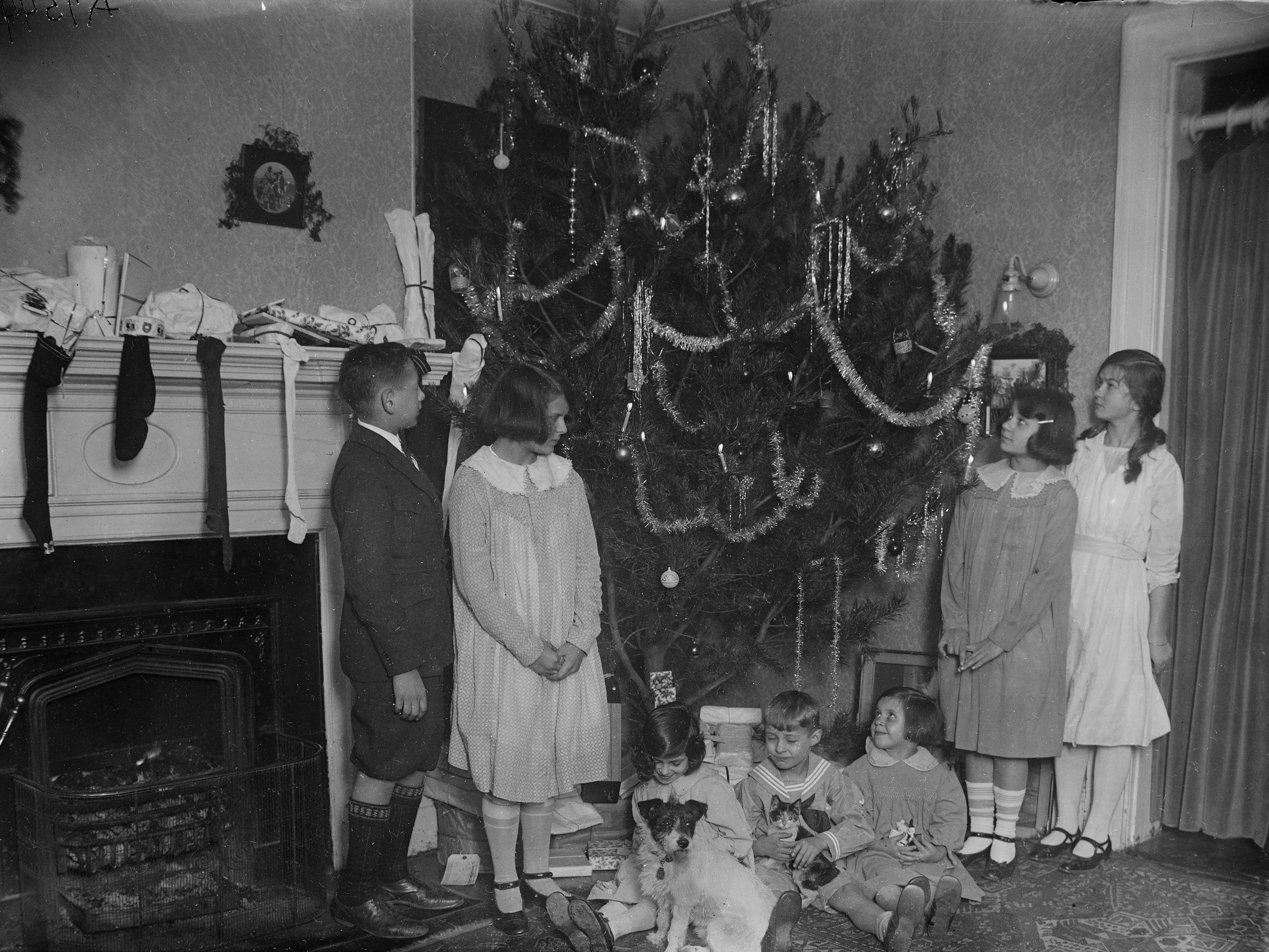 A family with a Christmas tree, between 1921 and 1924.