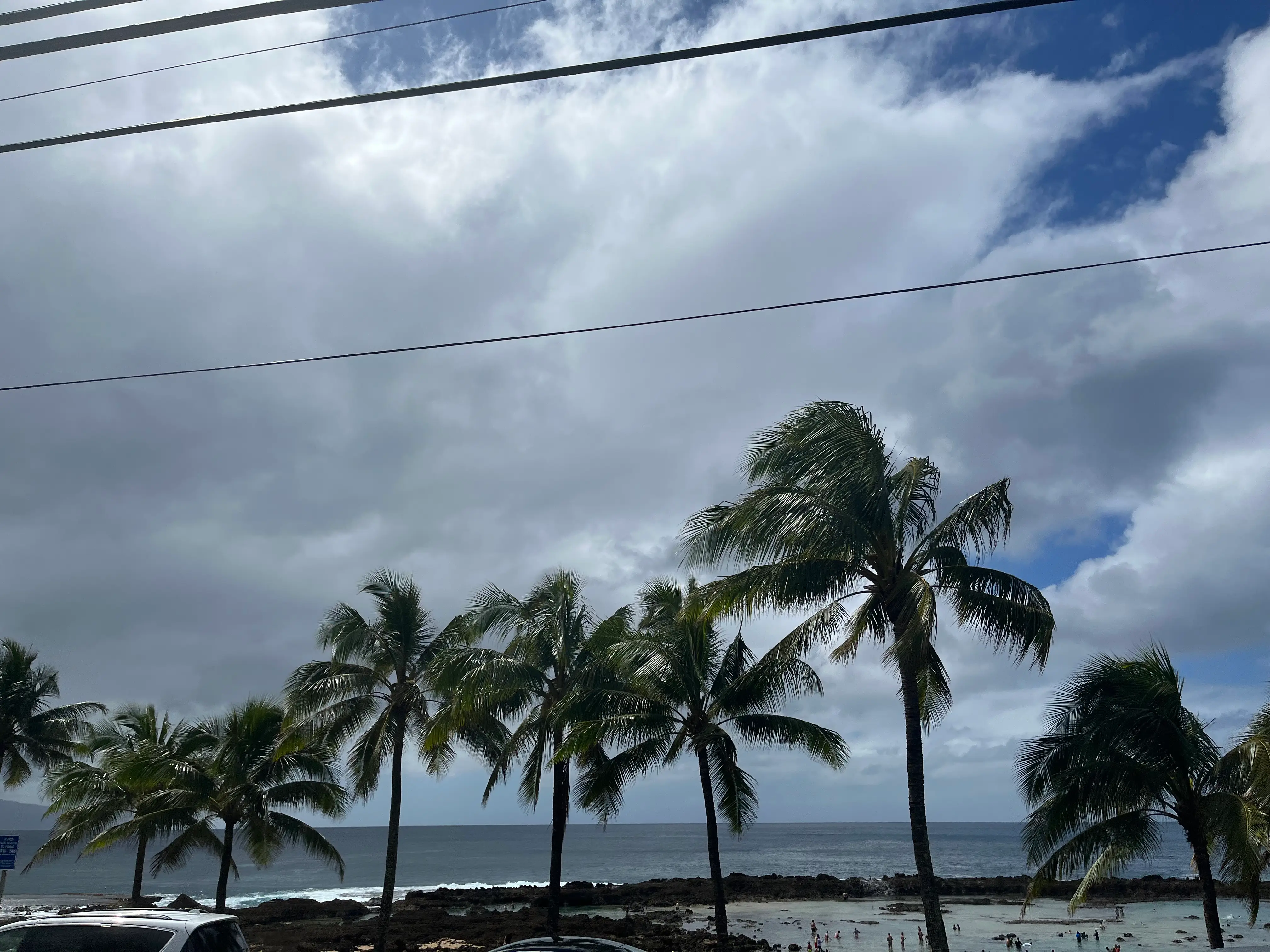 Clouds over palm trees on a shore.
