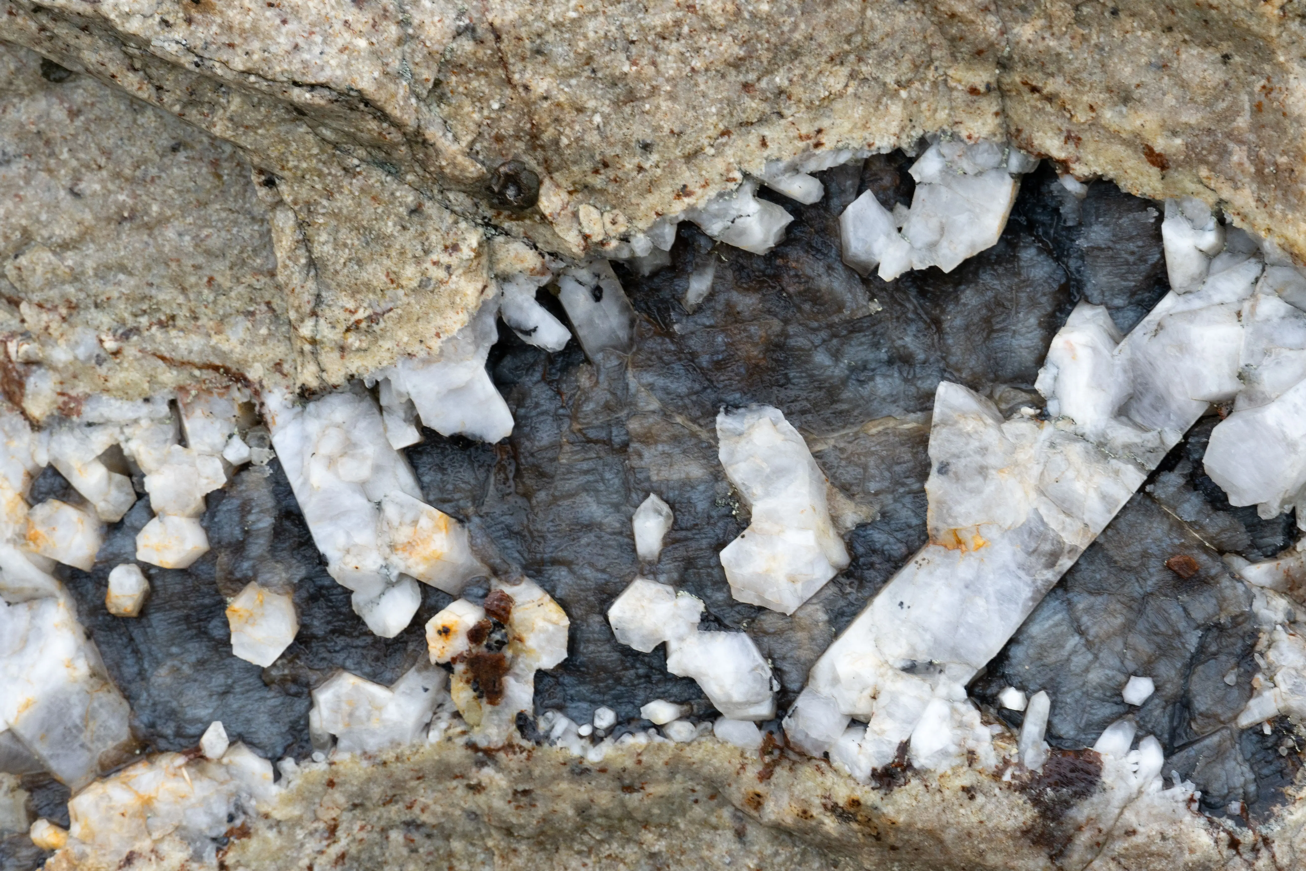 Whitish crystals in the earth