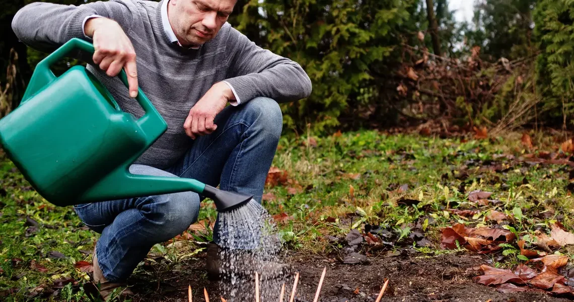 I never expected to sell pencils. The brand I’ve built has grown into a $1.7 million sustainability business.