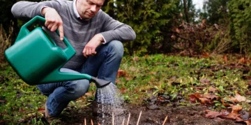 I never expected to sell pencils. The brand I’ve built has grown into a $1.7 million sustainability business.