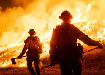 The most powerful news photos of the year