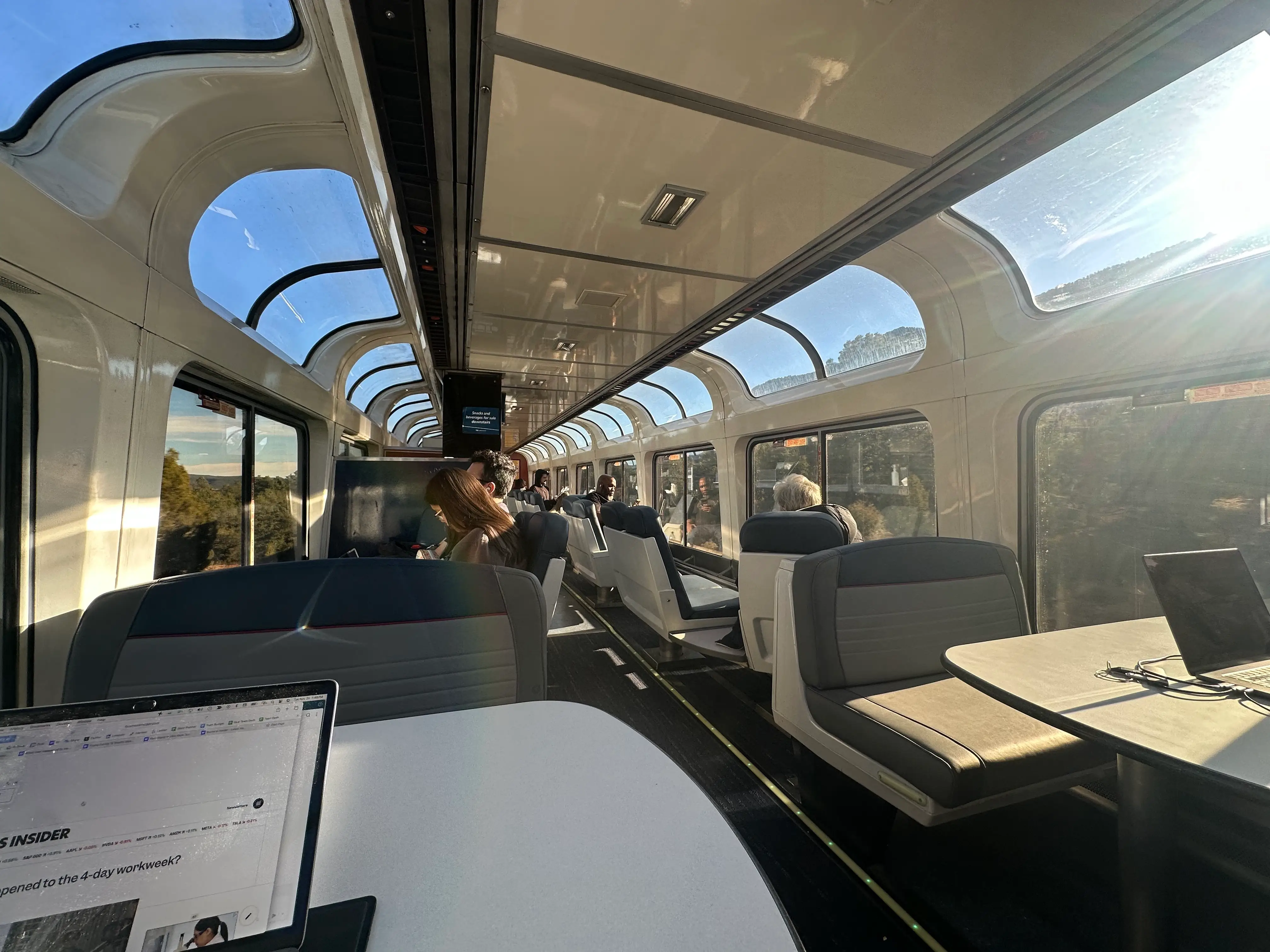 Observation car windows.