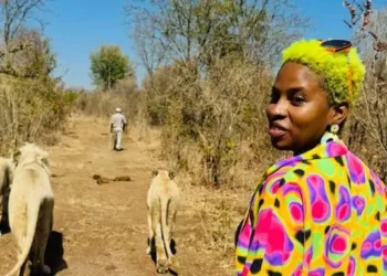 I left my Hollywood stunt career for 15 months to travel to 35 countries. I came back ready to plan my future beyond LA.