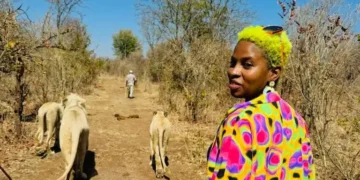 I left my Hollywood stunt career for 15 months to travel to 35 countries. I came back ready to plan my future beyond LA.