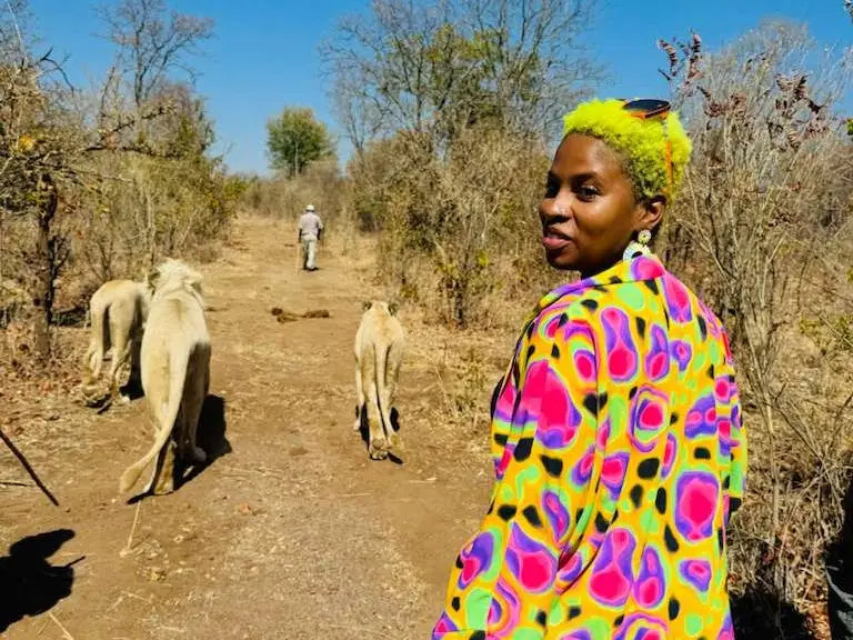 A woman with yellow hair walking with white lions in Victoria Falls, Zimbabwe.