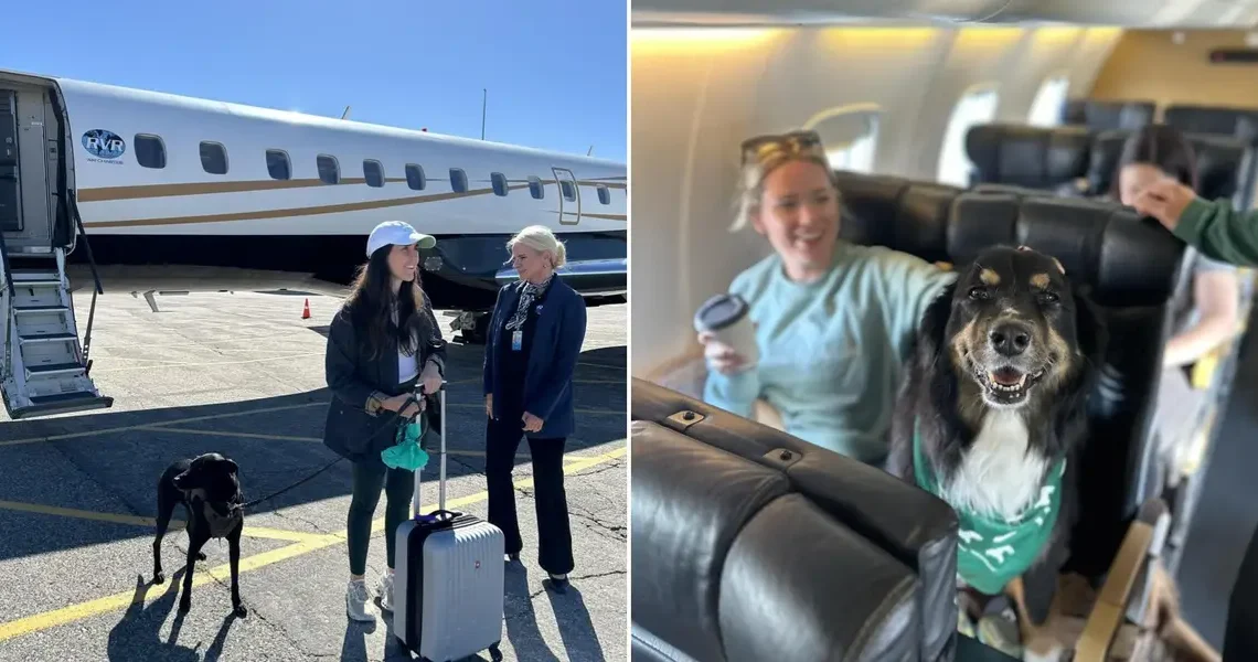 This ‘Shark Tank’-backed airline lets big dogs fly in the cabin. Fares average $775.