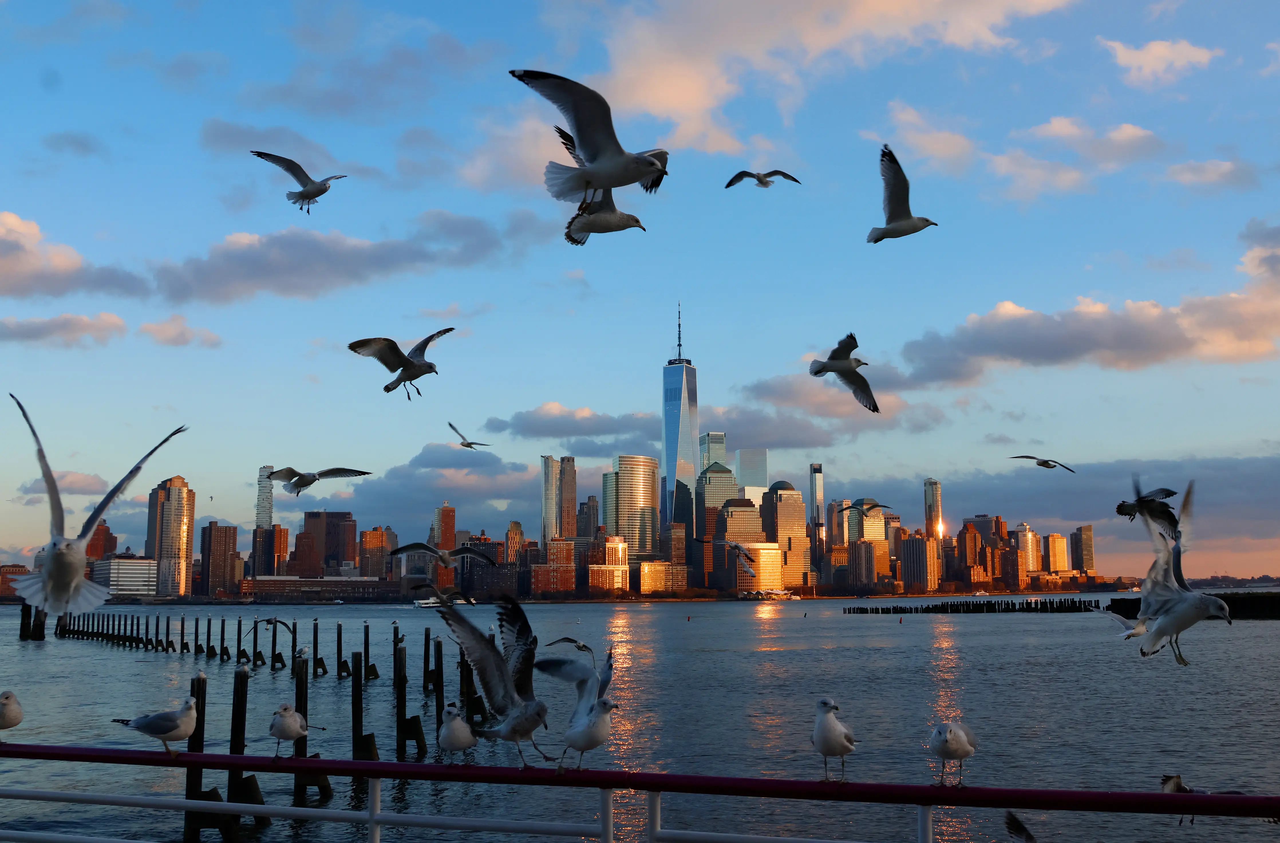 The sun sets on the skyline of lower Manhattan and One World Trade Center in New York City as seagulls fly over the Hudson River on December 4, 2025, in Jersey City, New Jersey.