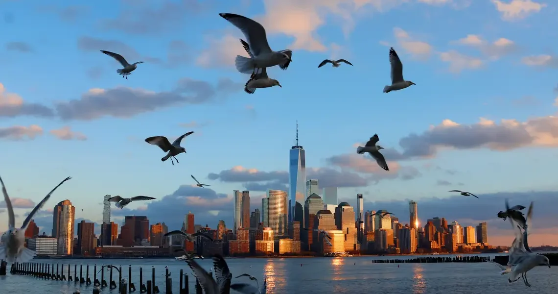 Millionaires are rethinking where they move &mdash; soaring private healthcare costs are redrawing the global map