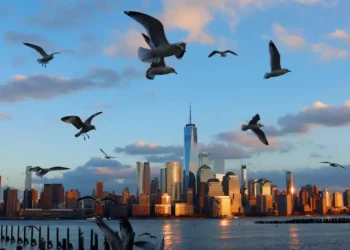 Millionaires are rethinking where they move — soaring private healthcare costs are redrawing the global map