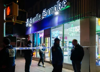 Up in smoke: Inside New York City’s chaotic crackdown on unlicensed weed shops