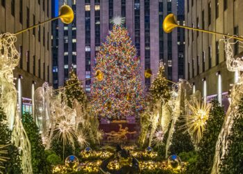 Every Rockefeller Center Christmas tree since the 1930s, and where it came from