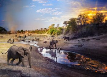 National Geographic unveiled its Pictures of the Year. Here are 7 of the most striking wildlife photos.