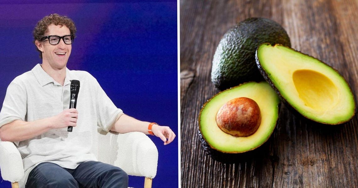 From Garlic to Avocado: The goofy AI model codenames you should know