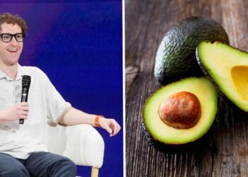From Garlic to Avocado: The goofy AI model codenames you should know