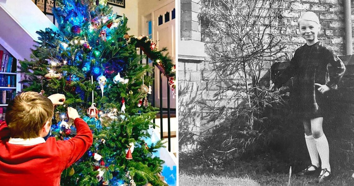 I wanted a big festive tree this year. I wasn’t expecting the $370 price tag at our local tree lot.