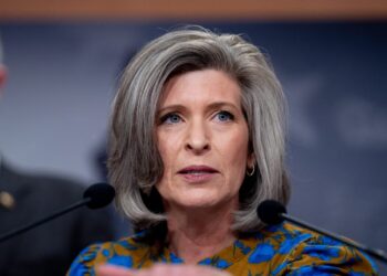 Prosecutors need more time to deal with pandemic fraud. A top senator says Democrats are blocking a bill to give it to them.