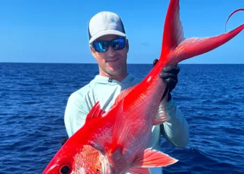 I’m a world-record spearfisher turned yacht broker. Here’s how I got into helping the ultrawealthy find the right boat.