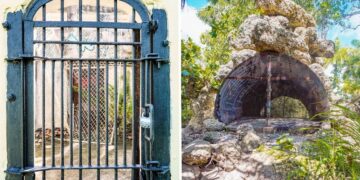 I explored the ruins of an abandoned zoo on the coast of Florida, and it was completely overrun by nature